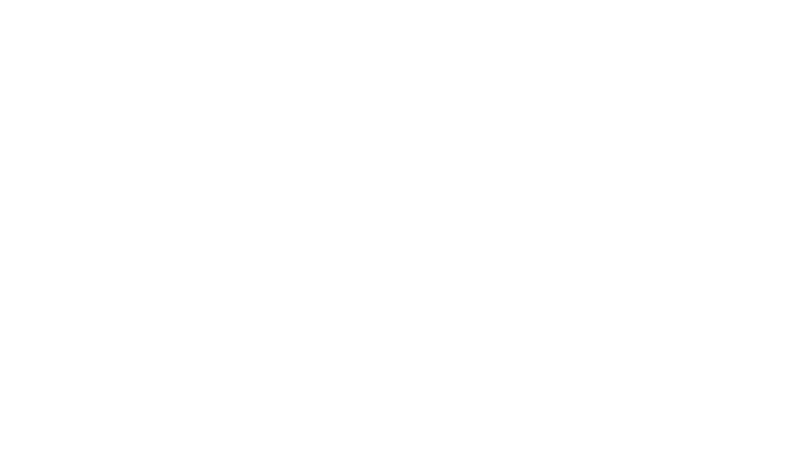 Diba BES